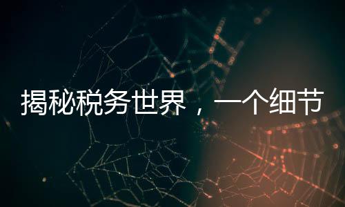 揭秘税务世界，一个细节决定退税还是补税