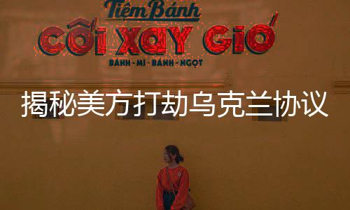 揭秘美方打劫乌克兰协议细节曝光