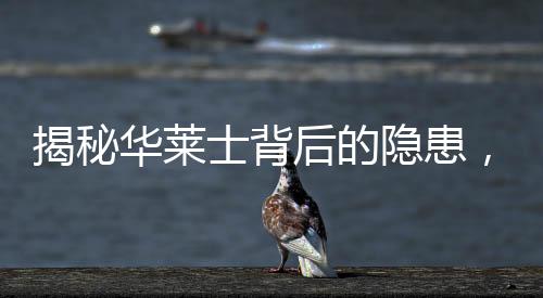 揭秘华莱士背后的隐患，记者卧底发现频繁使用过期食材现象揭秘