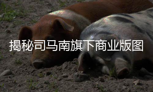 揭秘司马南旗下商业版图
