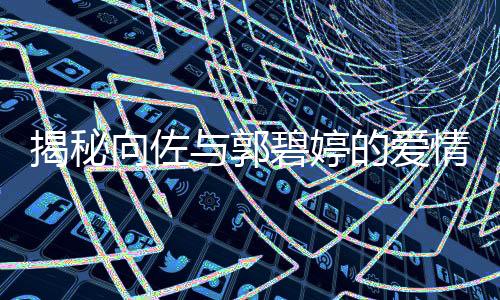 揭秘向佐与郭碧婷的爱情幕后，刘维的撮合之力