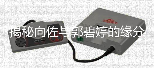 揭秘向佐与郭碧婷的缘分，刘维牵线促成佳偶天成？