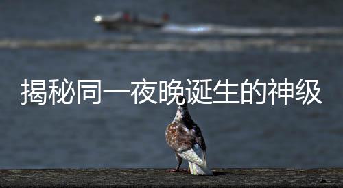 揭秘同一夜晚诞生的神级现场，神秘之夜唤醒无数惊艳时刻