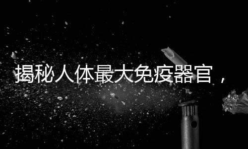 揭秘人体最大免疫器官，深入了解身体的第一道防线