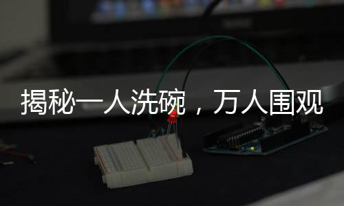 揭秘一人洗碗，万人围观背后的魔力