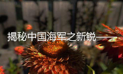 揭秘中国海军之新锐——055大驱的实力解析