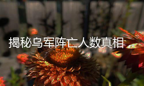 揭秘乌军阵亡人数真相，数字背后的复杂战争