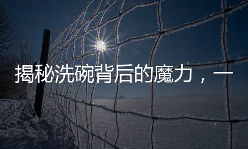 揭秘洗碗背后的魔力，一人洗碗，八万人围观的现象深度解析