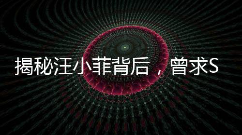 揭秘汪小菲背后，曾求S妈购买大型墓地，背后故事引人深思