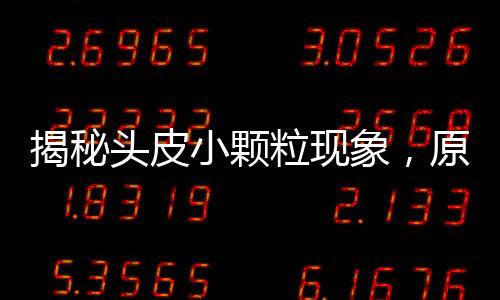 揭秘头皮小颗粒现象，原因、影响与解决方案