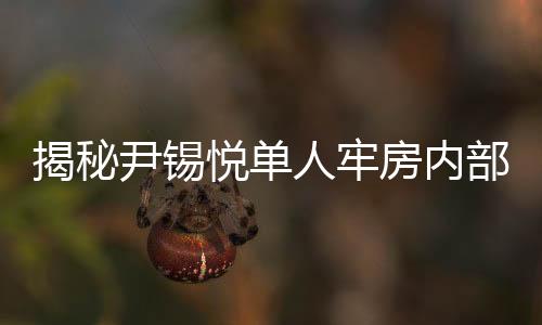 揭秘尹锡悦单人牢房内部图，一窥牢房生活细节