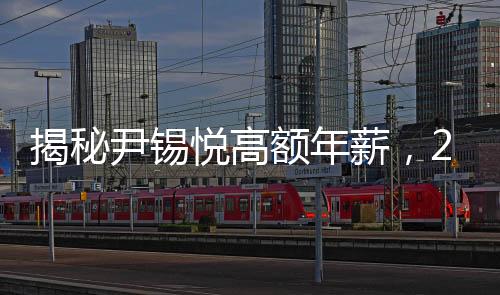 揭秘尹锡悦高额年薪，2.626亿韩元的人生轨迹