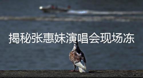 揭秘张惠妹演唱会现场冻出鼻涕的真相，神秘低温下的奇迹之夜