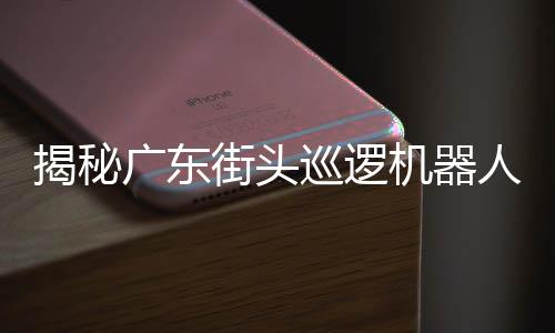 揭秘广东街头巡逻机器人的来历