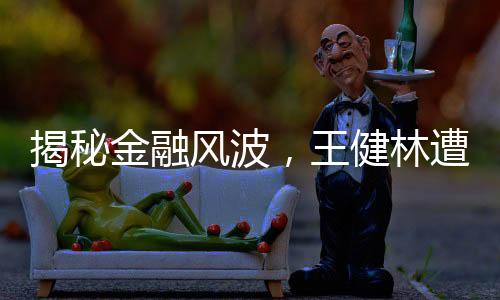 揭秘金融风波，王健林遭遇七千万股权冻结