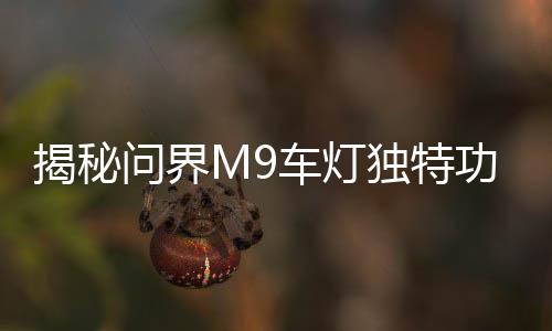 揭秘问界M9车灯独特功能，智能拐弯照明引领时代潮流