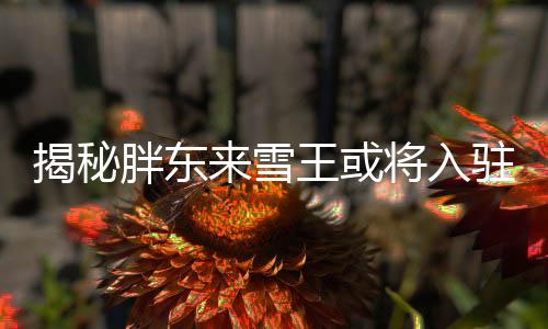 揭秘胖东来雪王或将入驻新邻居身份，展望共赢邻里关系新篇章