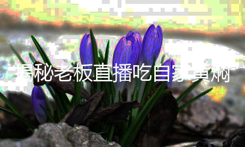 揭秘老板直播吃自家黄焖鸡，一场关于诚信的较量