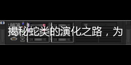 揭秘蛇类的演化之路，为何四肢逐渐消失？