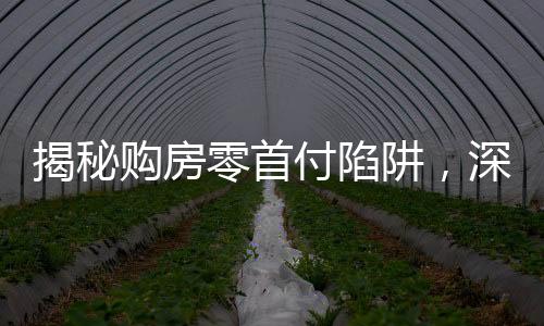 揭秘购房零首付陷阱，深度剖析风险隐患