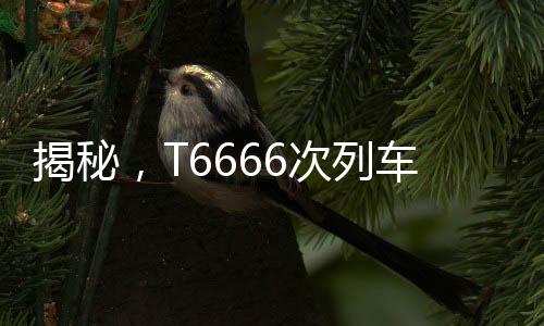 揭秘，T6666次列车真实存在，带你领略独特的列车之旅