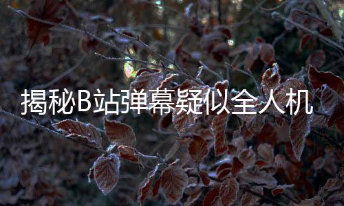 揭秘B站弹幕疑似全人机现象，深度解析背后的技术与运营策略