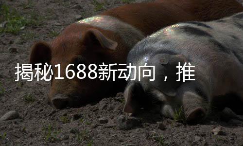 揭秘1688新动向，推出新业务源选，引领行业新风向