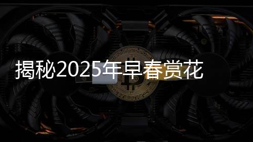 揭秘2025年早春赏花地图，踏春赏花，尽享自然盛宴