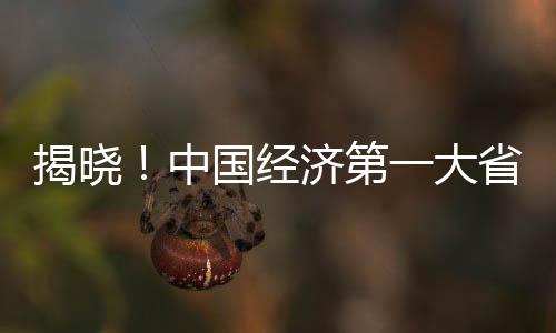 揭晓！中国经济第一大省的悬念——对粤港澳大湾区的未来展望（新闻分析）