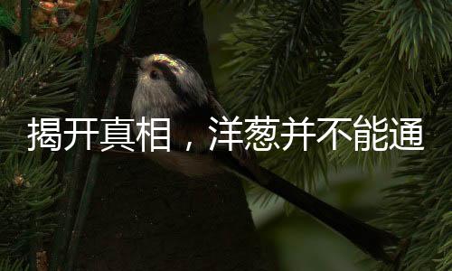 揭开真相，洋葱并不能通过切开吸附病菌病毒