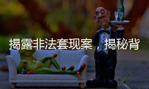 揭露非法套现案，揭秘背后的隐患与挑战，00后青年涉嫌非法套现近十万引发的思考