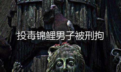 投毒锦鲤男子被刑拘