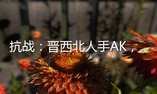 抗战：晋西北人手AK，光头懵了
