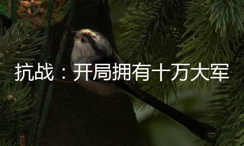 抗战：开局拥有十万大军
