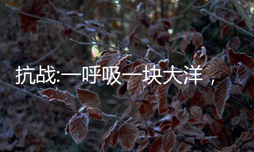 抗战:一呼吸一块大洋，川军雄起