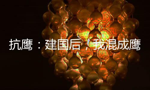 抗鹰：建国后，我混成鹰派大元帅
