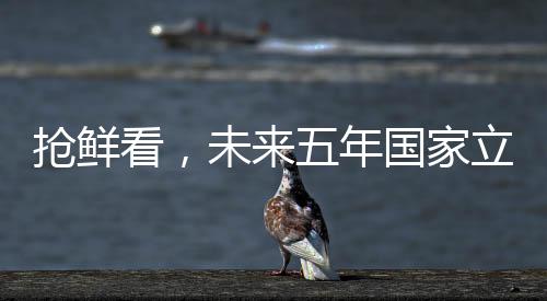 抢鲜看，未来五年国家立法趋势展望——一二三四五六七八九十解读