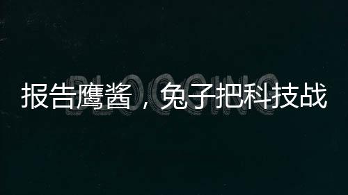 报告鹰酱，兔子把科技战桌子掀了