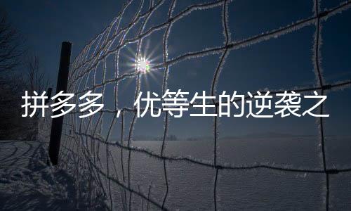拼多多，优等生的逆袭之路——即便跌跤，依旧被市场偏爱