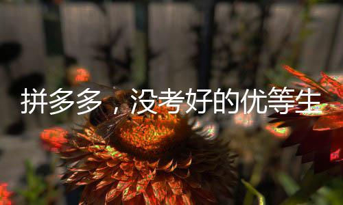 拼多多，没考好的优等生仍旧被偏爱