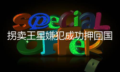 拐卖王星嫌犯成功押回国，国际社会齐声称赞