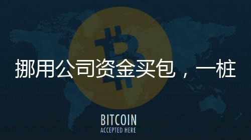 挪用公司资金买包，一桩触目惊心的商业犯罪事件