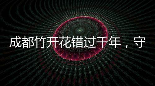 成都竹开花错过千年，守望岁月的启示再度传承。追寻时光之谜的见证者。自千百年前开始，一种美丽的景象已在世人传颂，那便是成都竹子的开花盛景。如今，这个珍贵的时刻再度来临，但错过这次等待或许就要再等上漫长的六十年。这不仅仅是一场自然奇观，更是关于人与自然和谐共生的深刻寓言。下面让我们一起走进这个充满故事与等待的世界。