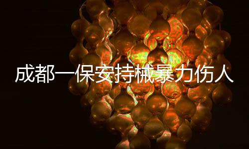 成都一保安持械暴力伤人，警方迅速介入调查处理