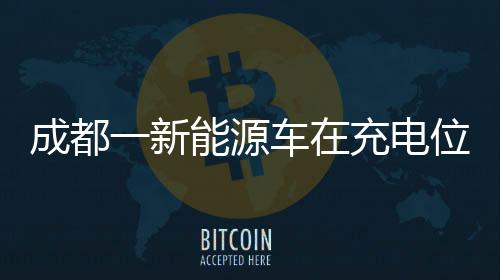 成都一新能源车在充电位上起火事件揭秘，事故起因、应对与反思