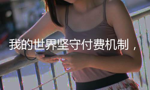 我的世界坚守付费机制，持续为用户创造价值