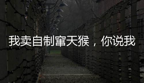 我卖自制窜天猴，你说我卖军火？