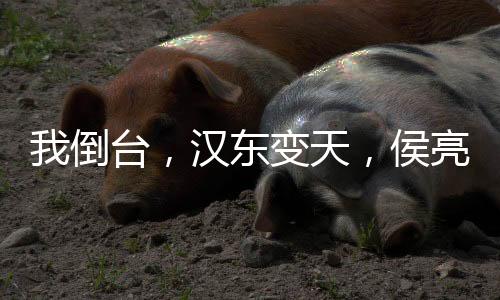 我倒台，汉东变天，侯亮平人麻了
