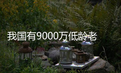 我国有9000万低龄老年人，探究其现状与挑战