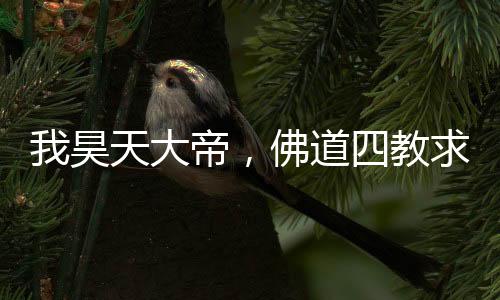 我昊天大帝，佛道四教求着我封神